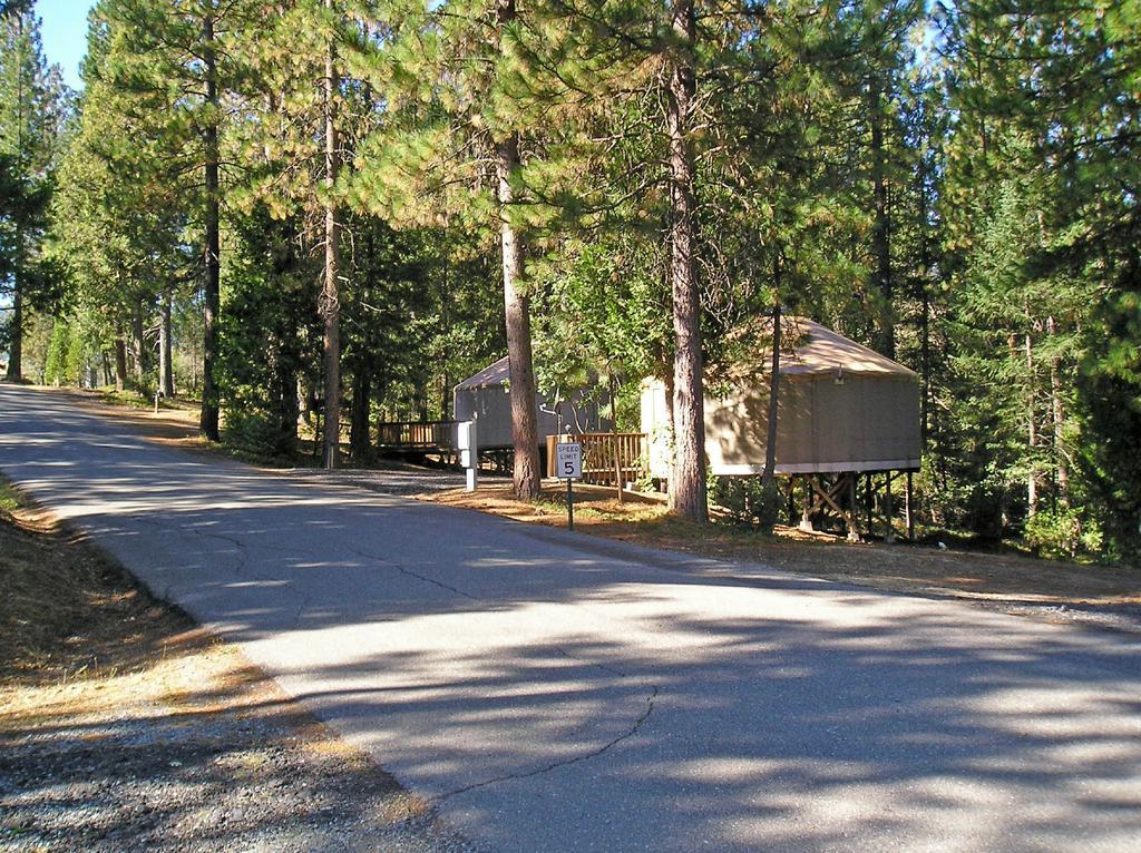 Yosemite Lakes Hillside Yurt 5 Harden Flat Extérieur photo