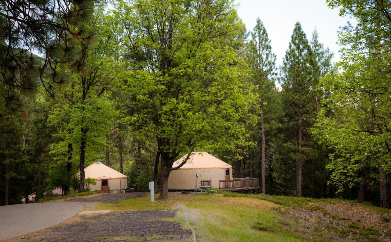 Yosemite Lakes Hillside Yurt 5 Harden Flat Extérieur photo